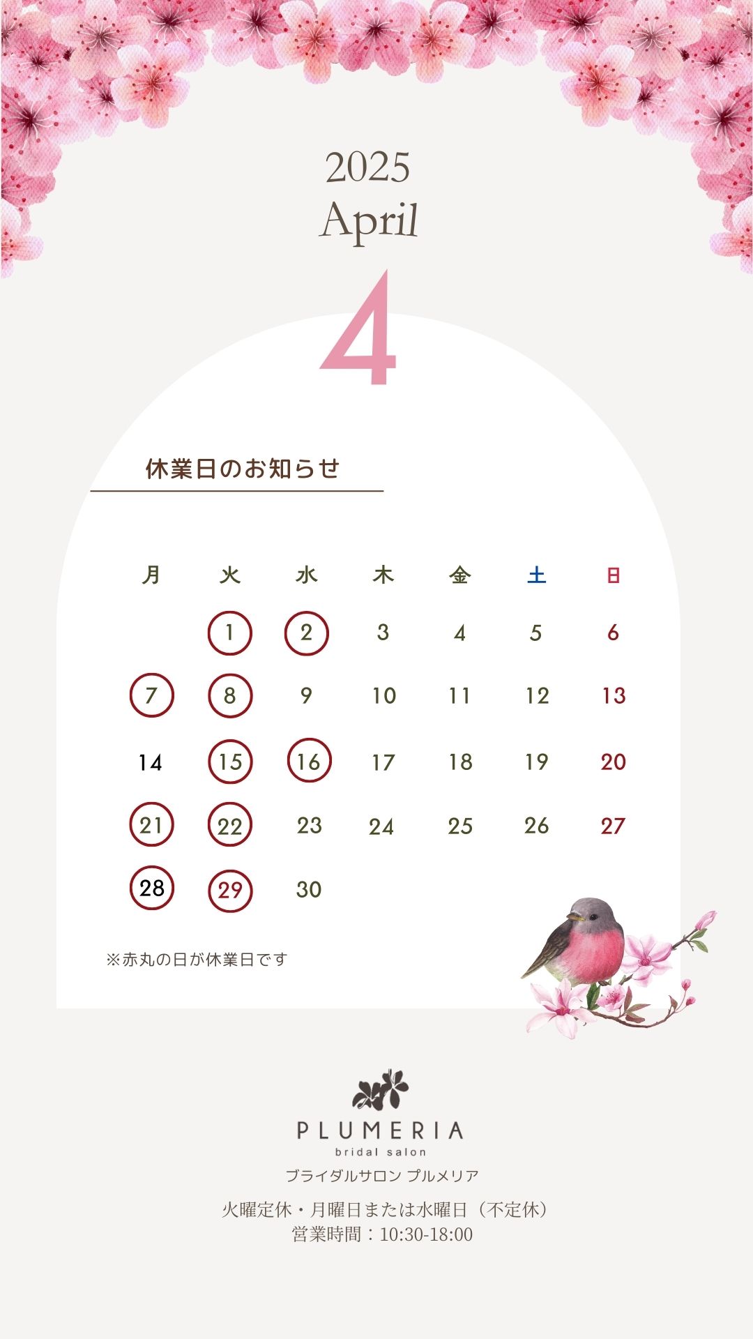 プルメリア休業日お知らせ